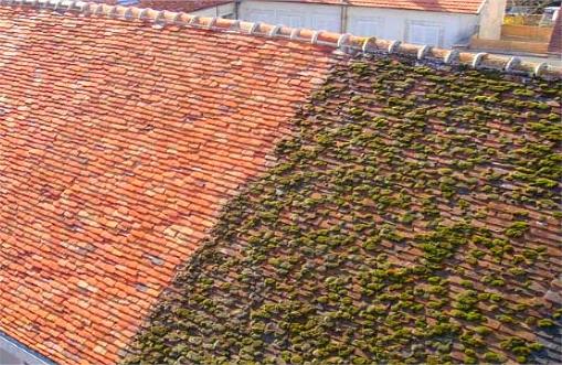 Résultat d'un traitement antimousse sur une maison près de Paris